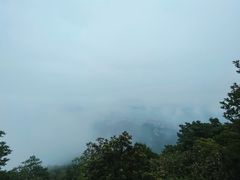 -梧桐山风景名胜区