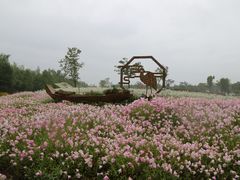 -同里国家湿地公园