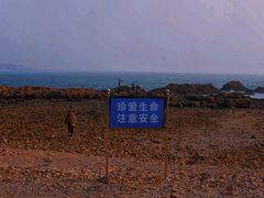 -八大关景区