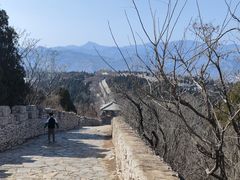 -原山国家森林公园