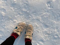 -绿野森林乐园冰雪季