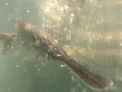 -漓江又一軒·广西菜·桂林米粉(梅林店)