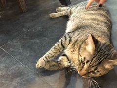 -意成料理