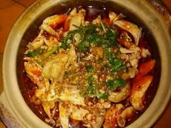 凉拌鸡-老字号怡玺·藿香雅鱼(20年雅安店)