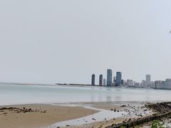 -万绿园