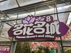 -南宫五洲植物乐园