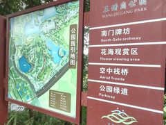 -王借岗森林公园