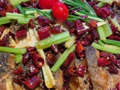 -老板恋上鱼(恒隆广场店)