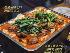 -杨氏青龙虾·羊蝎子(托乐嘉店)