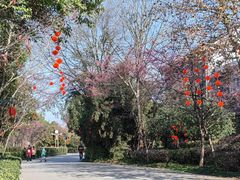 -五龙客家风情园