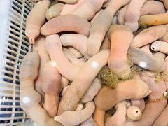 -阿毛饭店首店·宁波老字号(文化广场店)