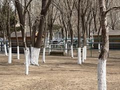 -长白岛森林公园