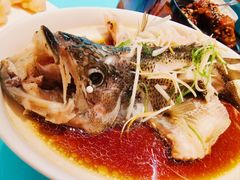 -普天和酒楼·新津菜·烤鸭(天津之眼店)
