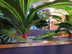 -鹿客臻鲜海鲜自助餐厅(永旺店)