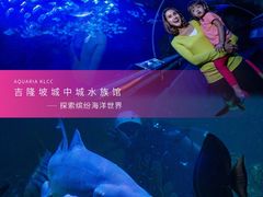 -吉隆坡国油双峰塔