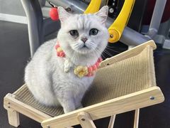 -M.S拳击泰拳馆(大学路店)