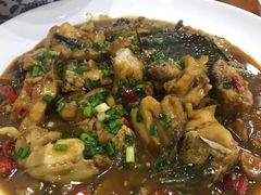 -全乐鱼馆·淳牌有机鱼直营店