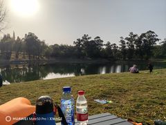 -两河城市森林公园