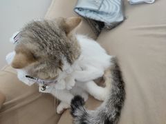 -怪兽屋·羊驼·猫咖·狗咖(俊华广场店)