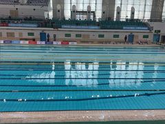 -奥体中心游泳馆