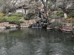 -巢湖姥山岛