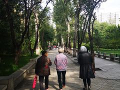 -莲湖公园