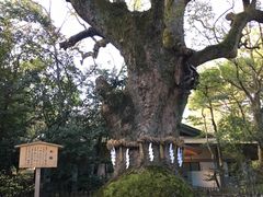 -热田神宫
