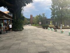 -杭州开元森泊度假乐园