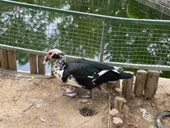 -南宫五洲植物乐园