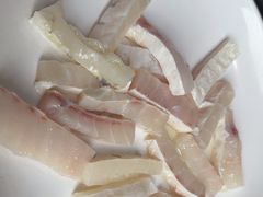 -港升鱼师傅·中山脆肉鲩