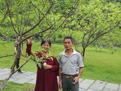 -常德桃花源景区