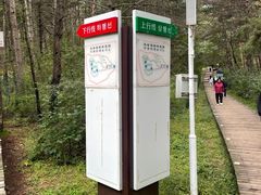 -帽儿山国家森林公园