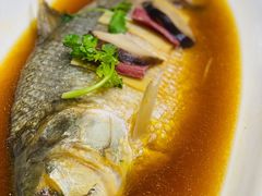 清蒸糟鲥鱼-骏莱海鲜鱼港(五角场店)