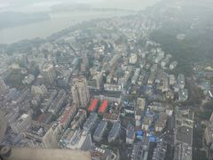 -紫峰大厦