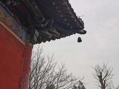 -洛阳白马寺
