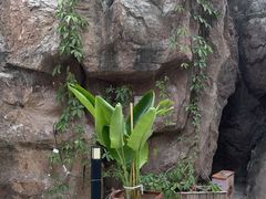 -裕龙汤泉