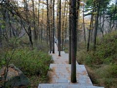 -鲁山国家森林公园