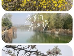 -颐和园