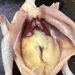 -香薇妮丝女子减肥院