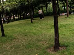 -海珠儿童公园