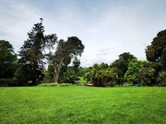 -墨尔本皇家植物园