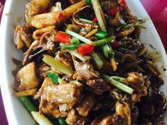 -生态苑农庄(十里画廊遇龙河店)