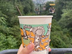 -茶颜悦色(岳麓山顶店)