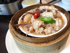 蒸鱿鱼-粤域茶餐厅