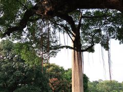 -广州中山纪念堂