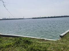 -漕湖湿地公园