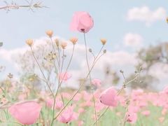 -天津水游城丽筠酒店