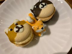 -柴务处·柴犬主题狗咖