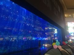 -成都浩海立方海洋公园