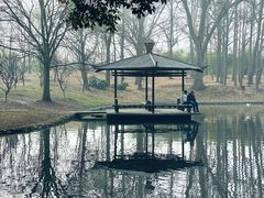 -上海共青森林公园